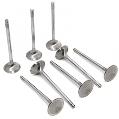 4B11T Evo X Valves